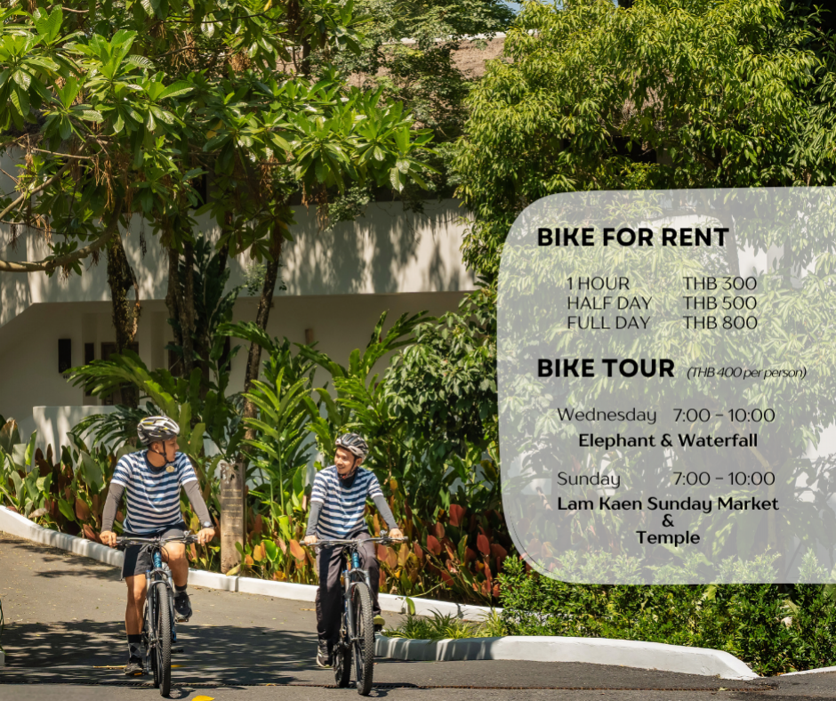 Bike Tour