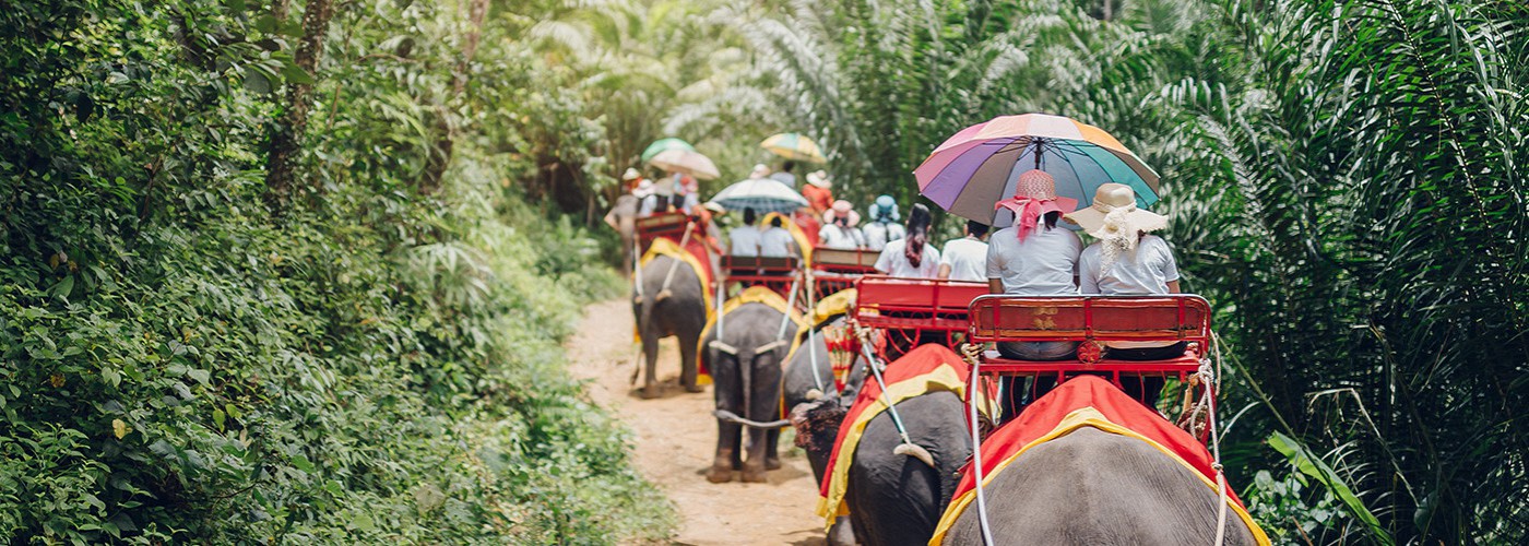Khao Lak Elephant Tours: How to Enjoy These Majestic Animals Ethically